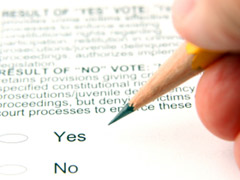 voting yes or no on a ballot