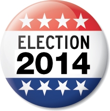 Election 2014 badge