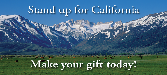 Stand up for California, make your gift today!