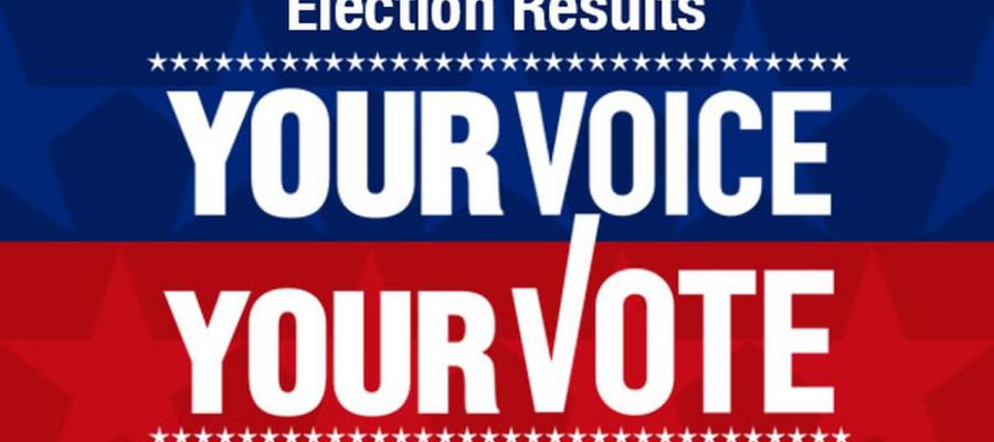 election results, california, votersedge, cavotes, caelections, voting