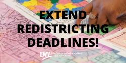 Extend redistricting deadlines, amicus brief filed