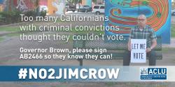 AB2466, voting rights, jim crow, discrimination, ACLU, grassroots advocacy