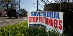 Save the delta stop the tunnels no waterfix