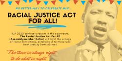 Racial Justice Act for All